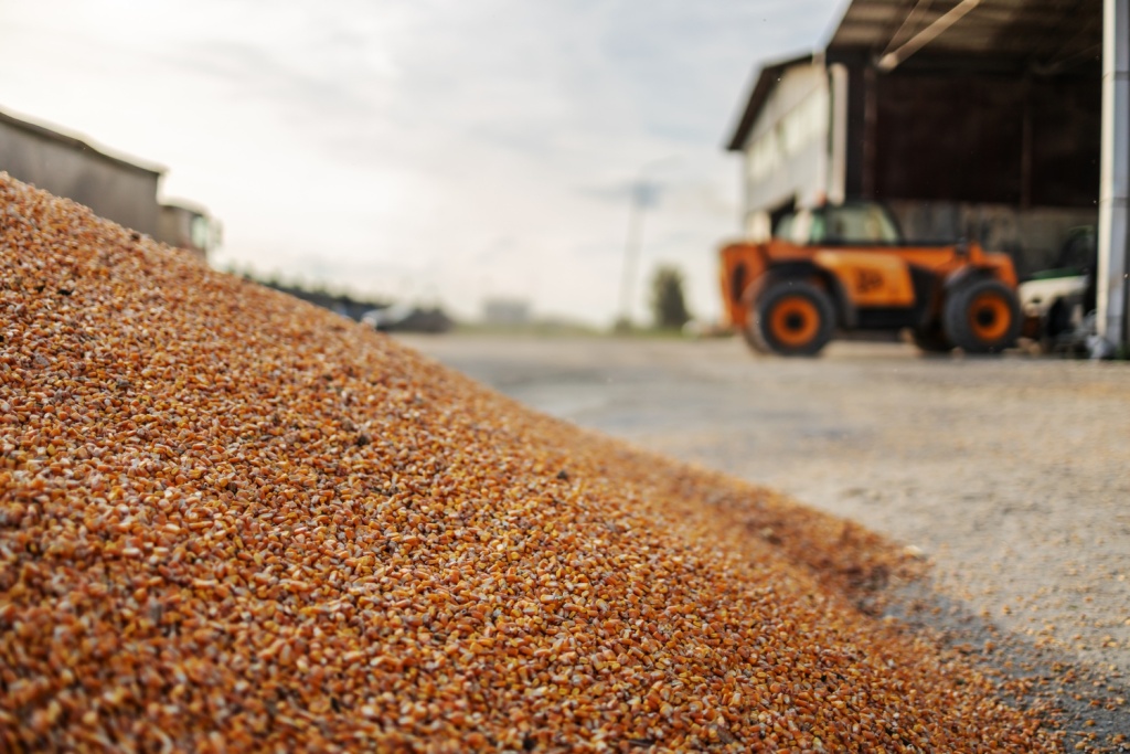 N