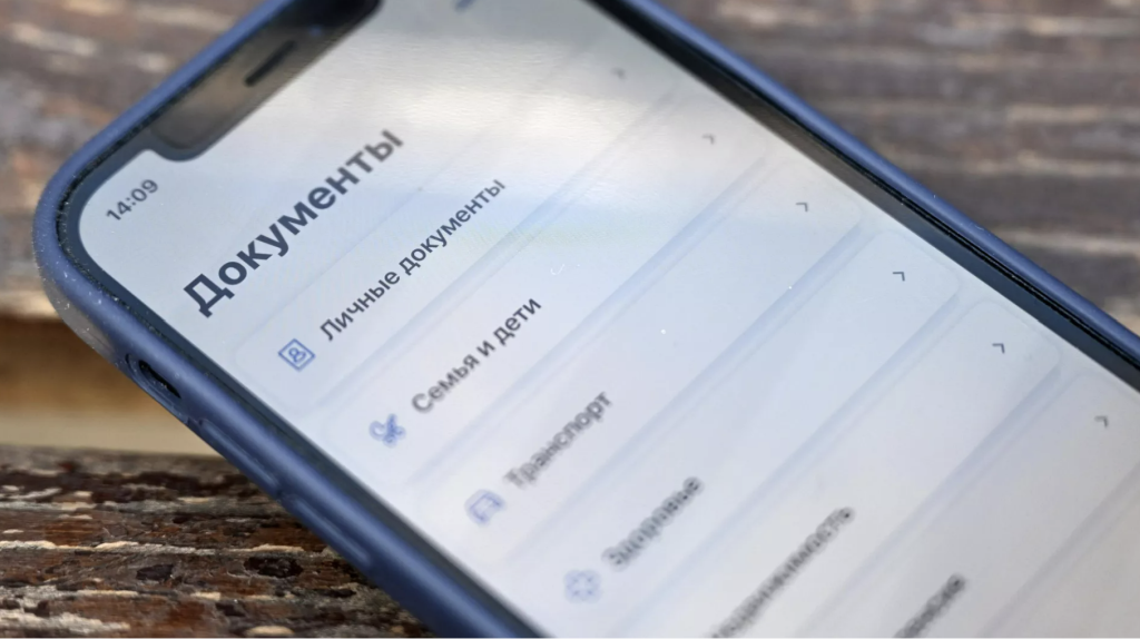 Жители Нижнего Новгорода смогут проверять товары через Госуслуги