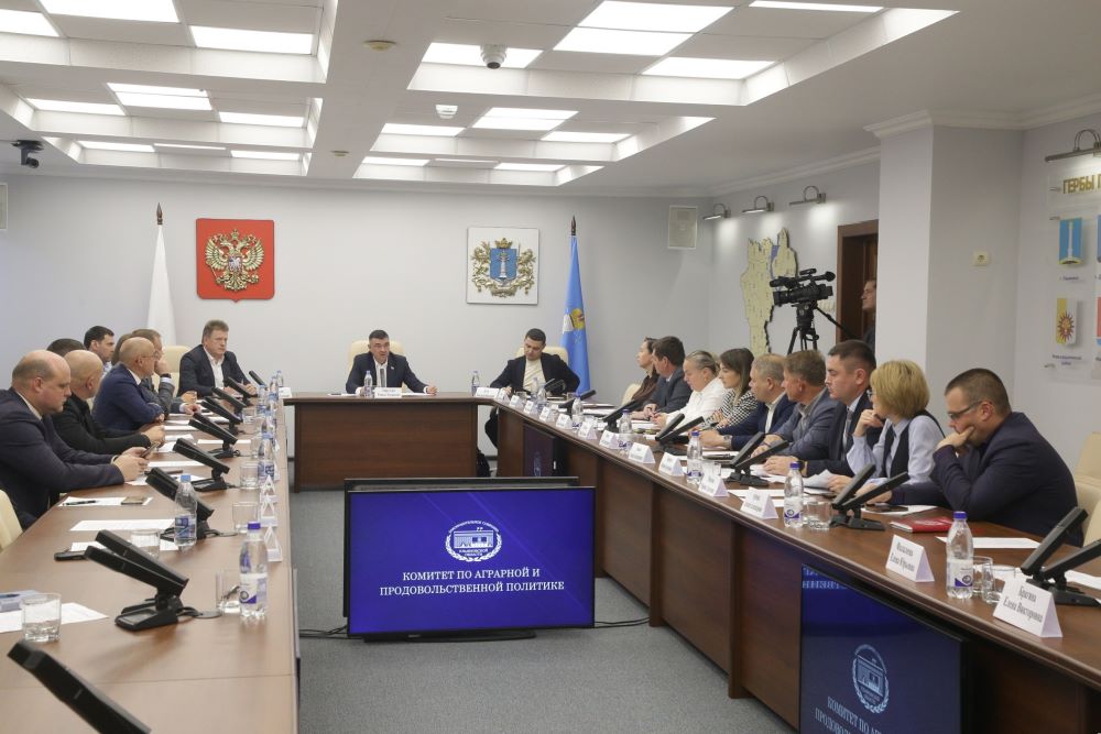 Стратегия развития сельских территорий Ульяновской области: ключевые проекты и перспективы