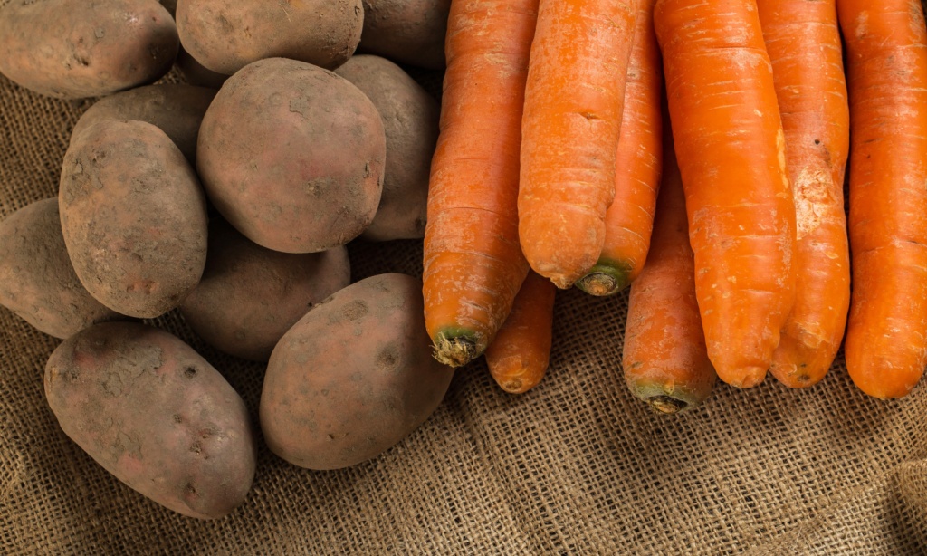 Почти полмиллиона овощей и фруктов беспошлинно ввезут в Россию