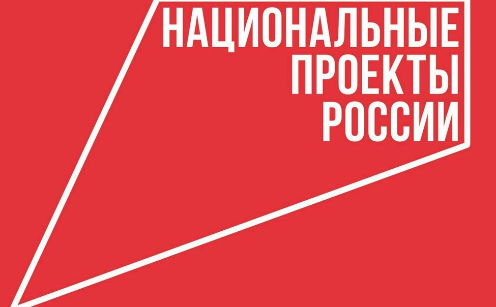 Рост числа поставщиков МСП в Мордовии: влияние нацпроекта и общероссийские тенденции