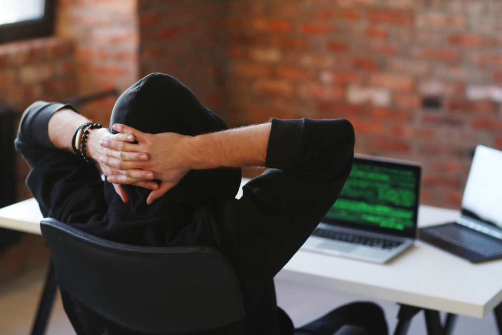 В Мордовии предотвращена кибератака, организованная двумя братьями-хакерами