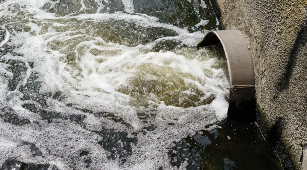 Нижегородскую область просят побыстрее оздоровить Волгу