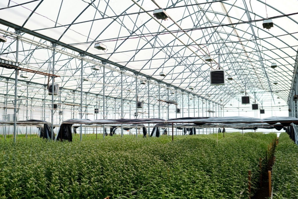 В Правительстве Татарстана обсудили ситуацию в региональном АПК