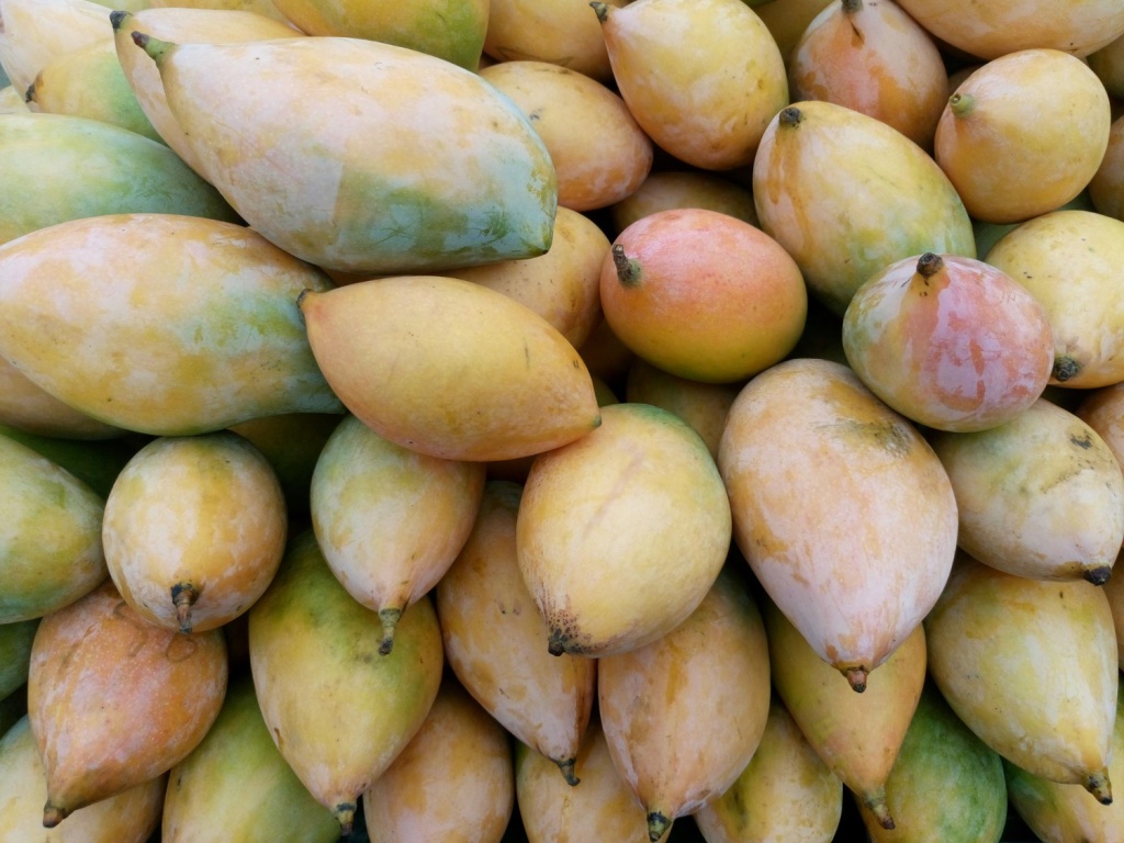 В этом году в Краснодарский край по морю ввезли около 11 тысяч тонн манго