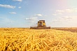 Экспорт АПК вырос на четверть: успехи российского сельского хозяйства