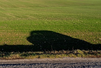 В Самарской области по требованию прокуратуры муниципалитету вернули землю площадью более 14 тысяч гектаров